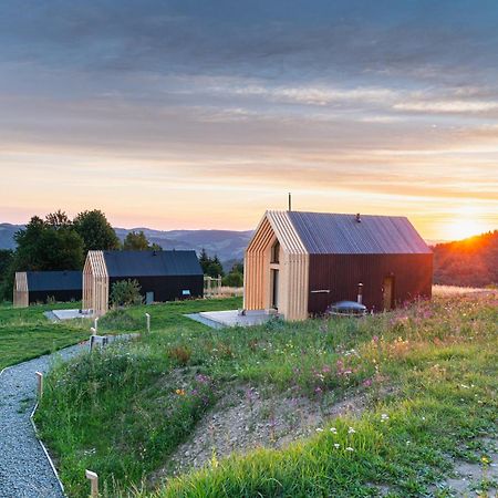 Domy Wypoczynkowe W Beskidach - Odpoczywaj W Naturze Laskowa  Экстерьер фото